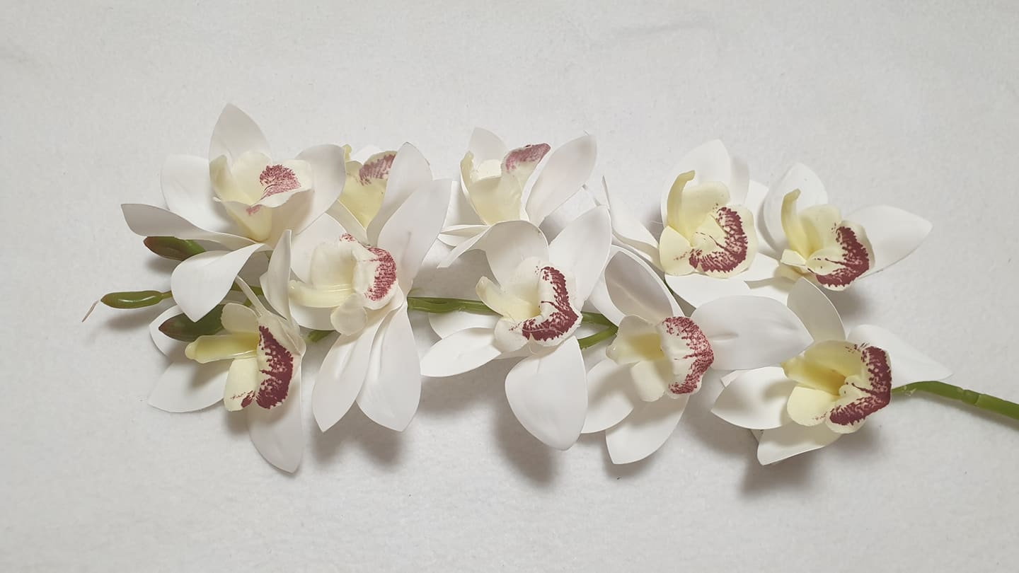 Élethű gumi orchidea