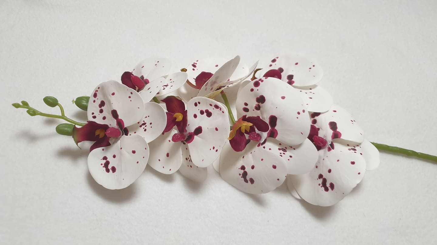 Élethű gumi orchidea