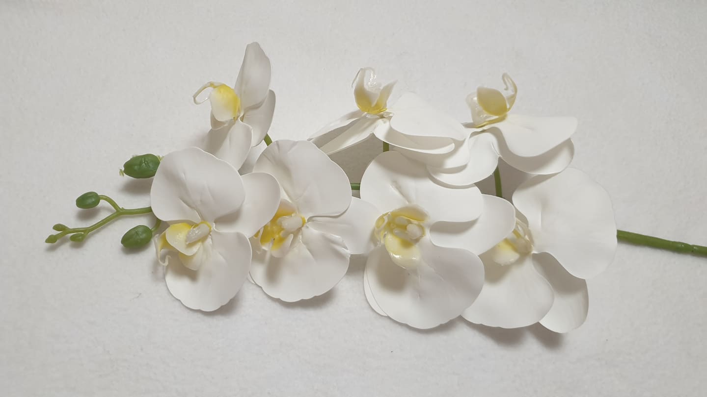 Élethű gumi orchidea