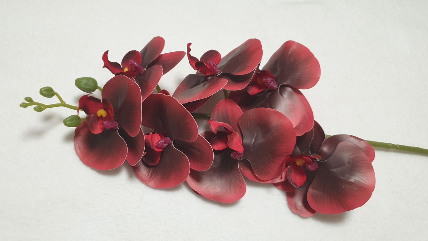 Élethű gumi orchidea
