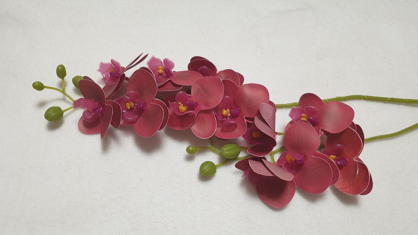 Élethű gumi orchidea