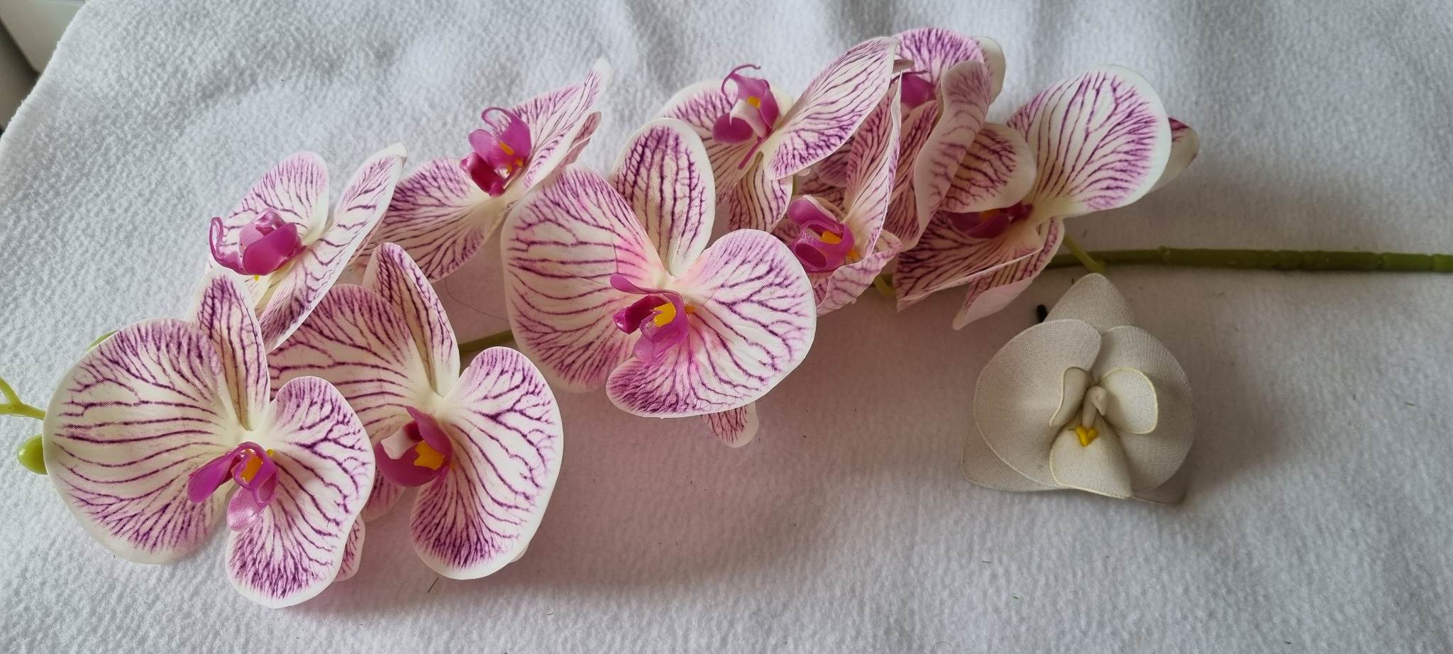 Orchidea szálas gumi M100